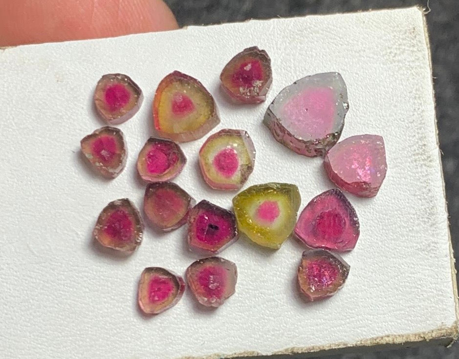 16 carats Watermelon Tourmaline Slices Bulk Parcel