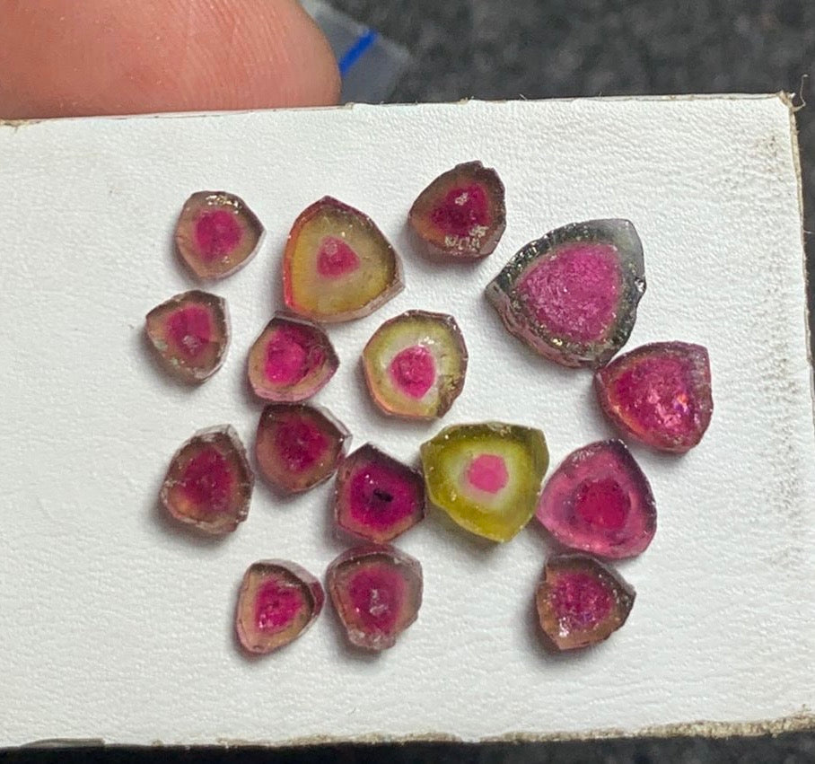 16 carats Watermelon Tourmaline Slices Bulk Parcel