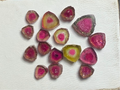 16 Carat Watermelon Tourmaline Slices - Natural Polished Gemstone Parcel