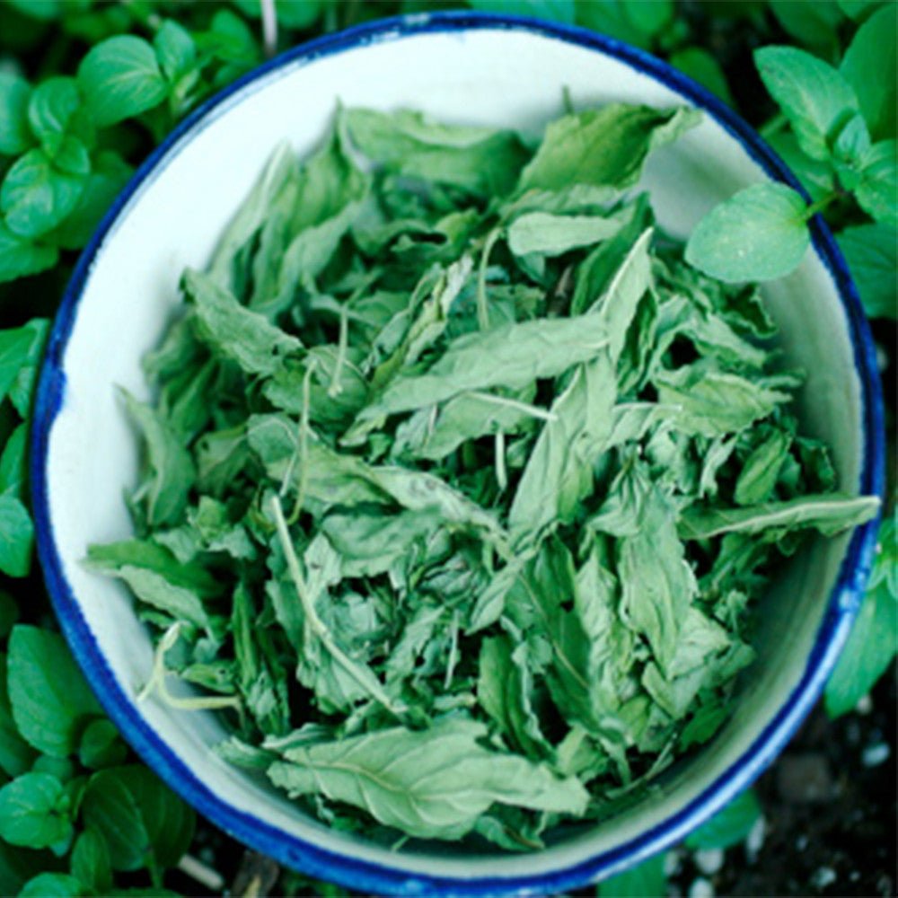 Buy Himalayan Salt Rocks  With Mint